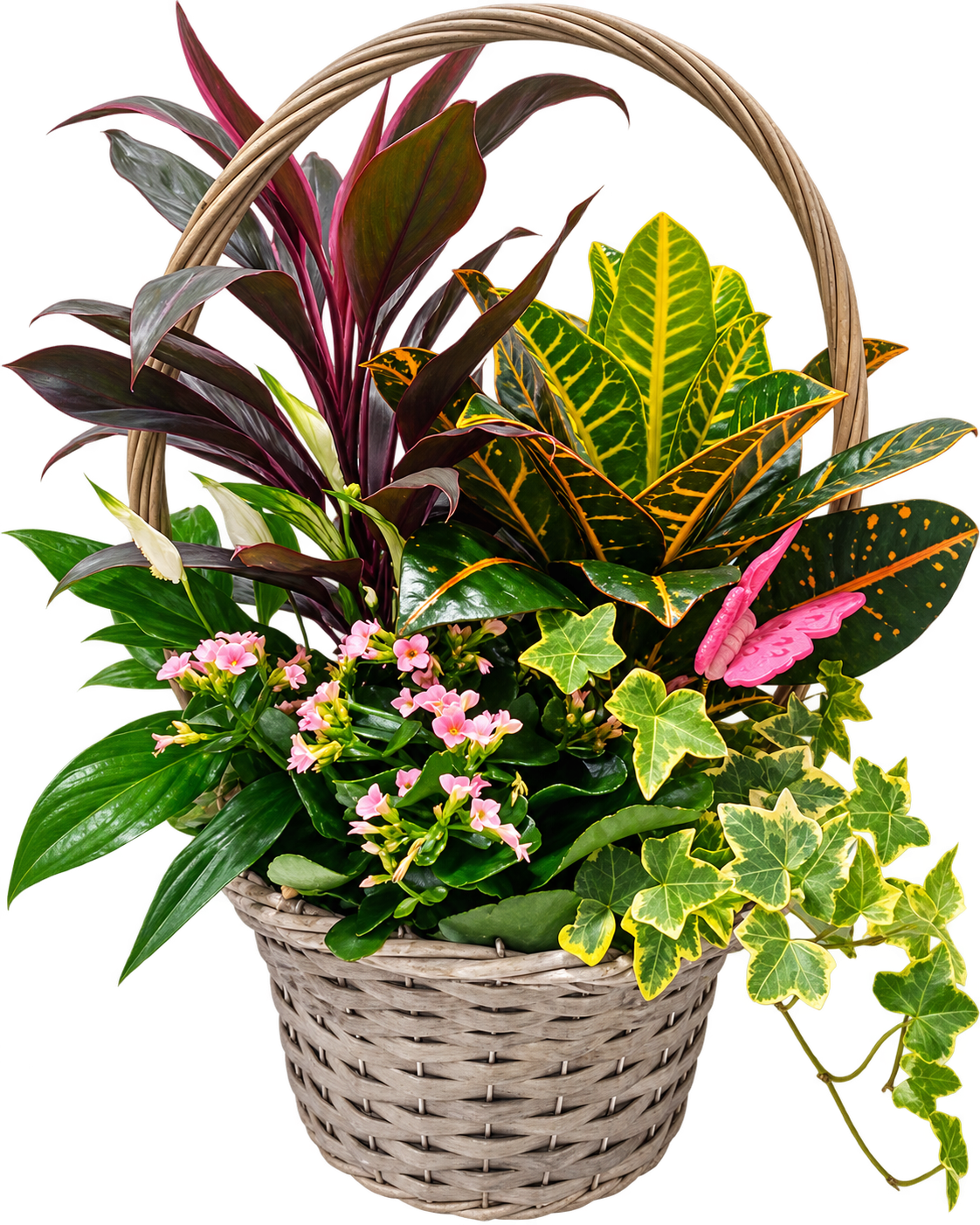 Cesta de plantas tropicales