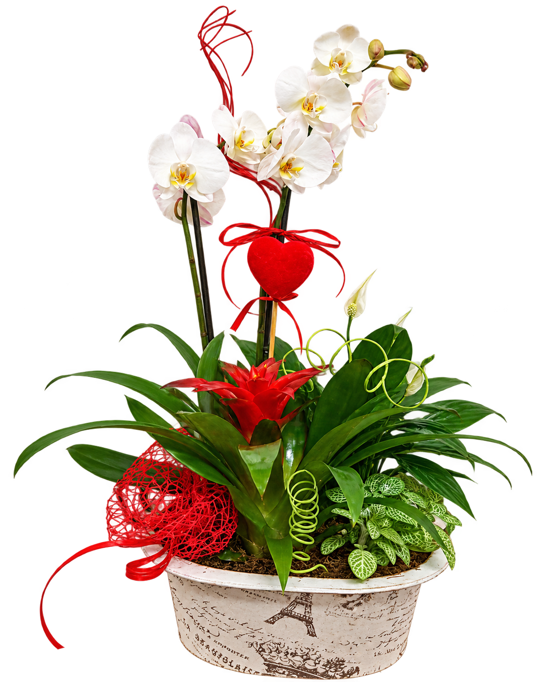 Composición de orquídeas blancas