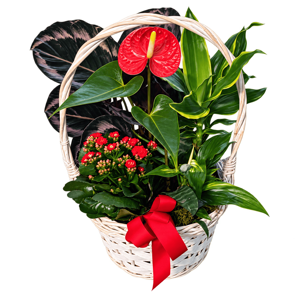 Cesta de anturio rojo