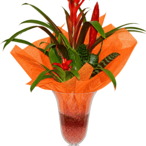 Composición tropical con acabado naranja