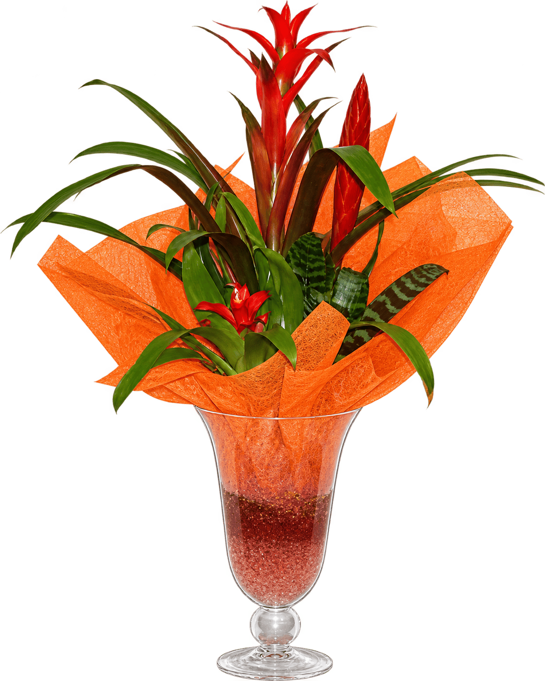 Composición tropical con acabado naranja