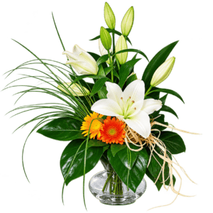 Ejemplo de composición con Lilium oriental
