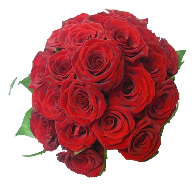 Ramo de novia · Rosas rojas · modelo 24
